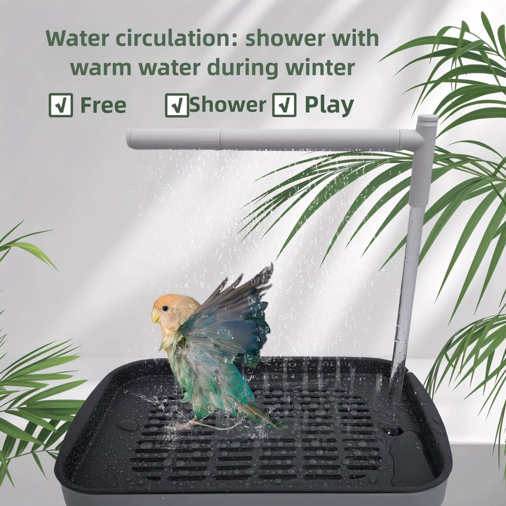 Bird Daily Use Bathtub Bird Shower