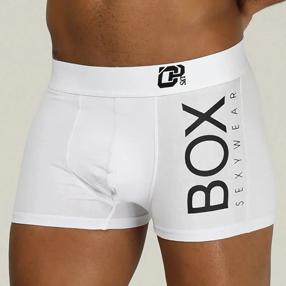 1/2/3/4 Pcs ORLVS Mens Boxer Sexy Underwear