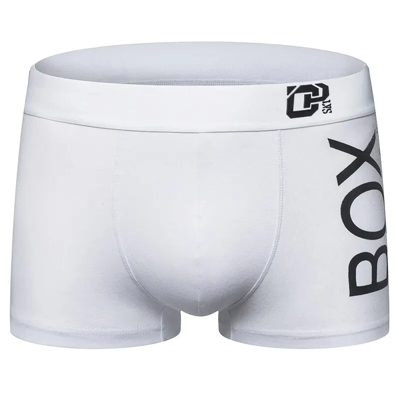 1/2/3/4 Pcs ORLVS Mens Boxer Sexy Underwear