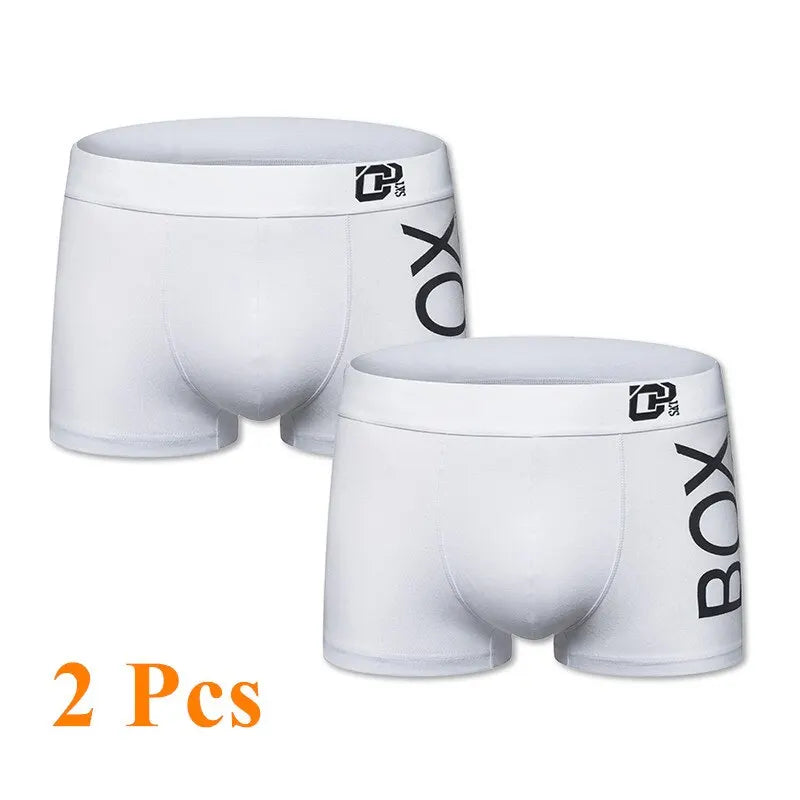 1/2/3/4 Pcs ORLVS Mens Boxer Sexy Underwear