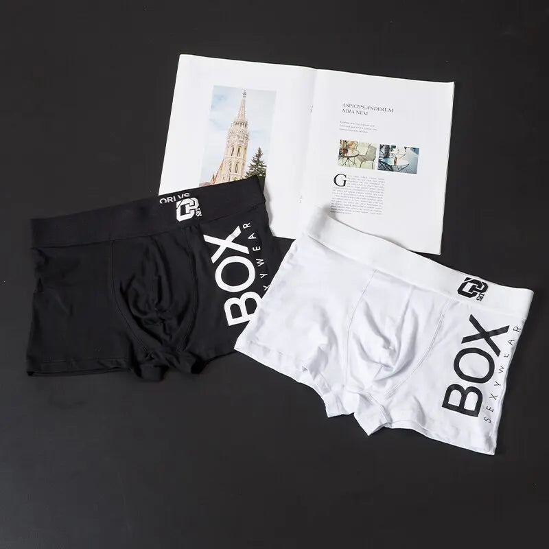 1/2/3/4 Pcs ORLVS Mens Boxer Sexy Underwear