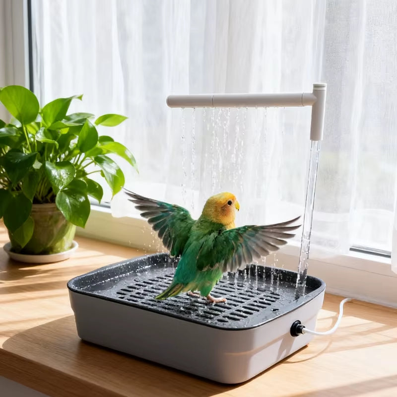Bird Daily Use Bathtub Bird Shower
